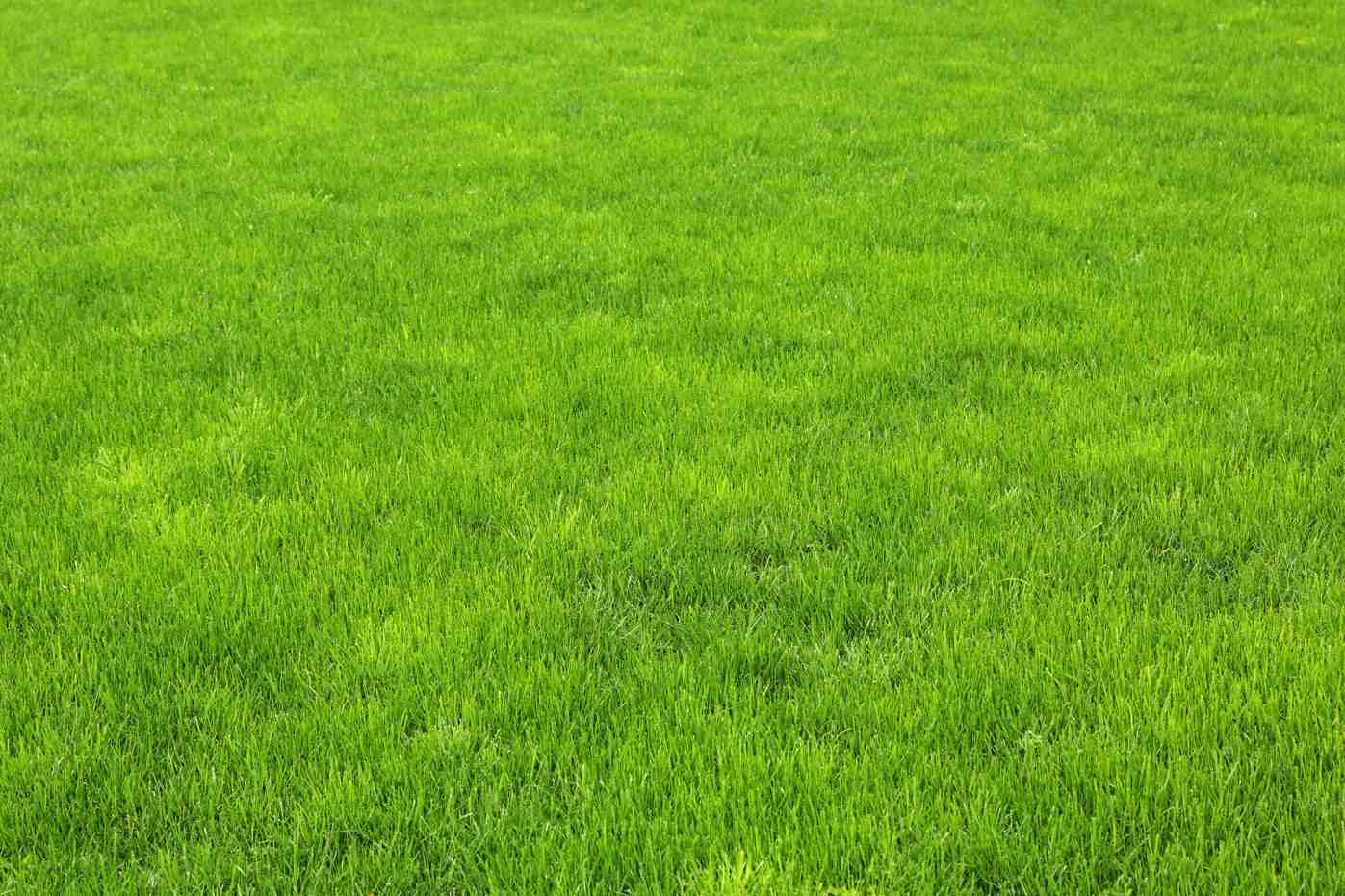 You are currently viewing Commercial Lawn Maintenance: Reliable Care for a Professional First Impression