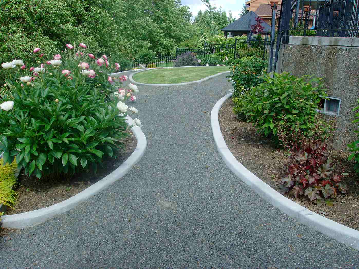 Read more about the article DIY Lawn Renovation: When to Start Over and How to Do It Right