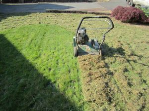 Read more about the article Garden Landscaping & Design-Build: Stylish Outdoor Spaces