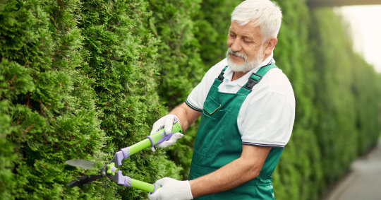 Experienced Lawn Restoration Team Portland