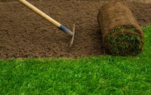 Read more about the article Residential Landscaping Services: Transform Your Home with Expert Care