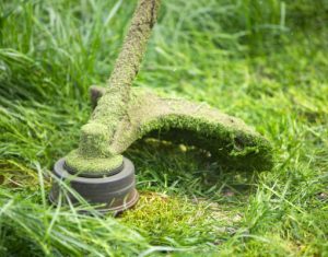 Read more about the article Residential Yard Maintenance – Keep Your Portland Yard Fresh, Clean, and Beautiful