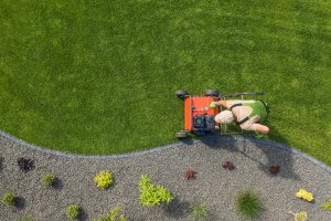 Read more about the article 7 Lawn Tips for a Greener Yard Year-Round