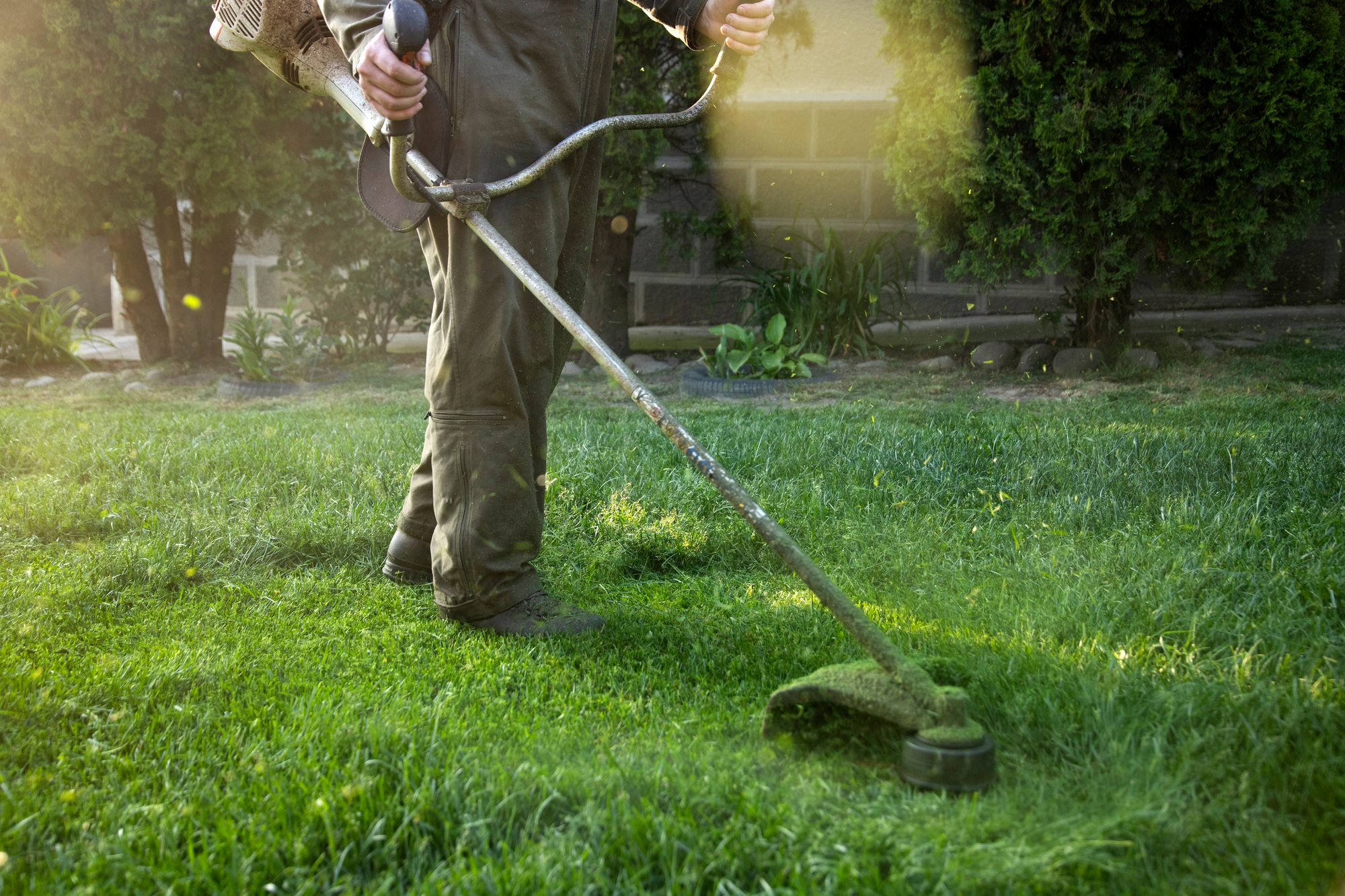 Read more about the article Complete Lawn & Landscape Services in Portland