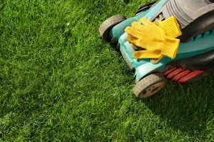 Read more about the article Custom Landscapes: Crafting Lasting Outdoor Beauty