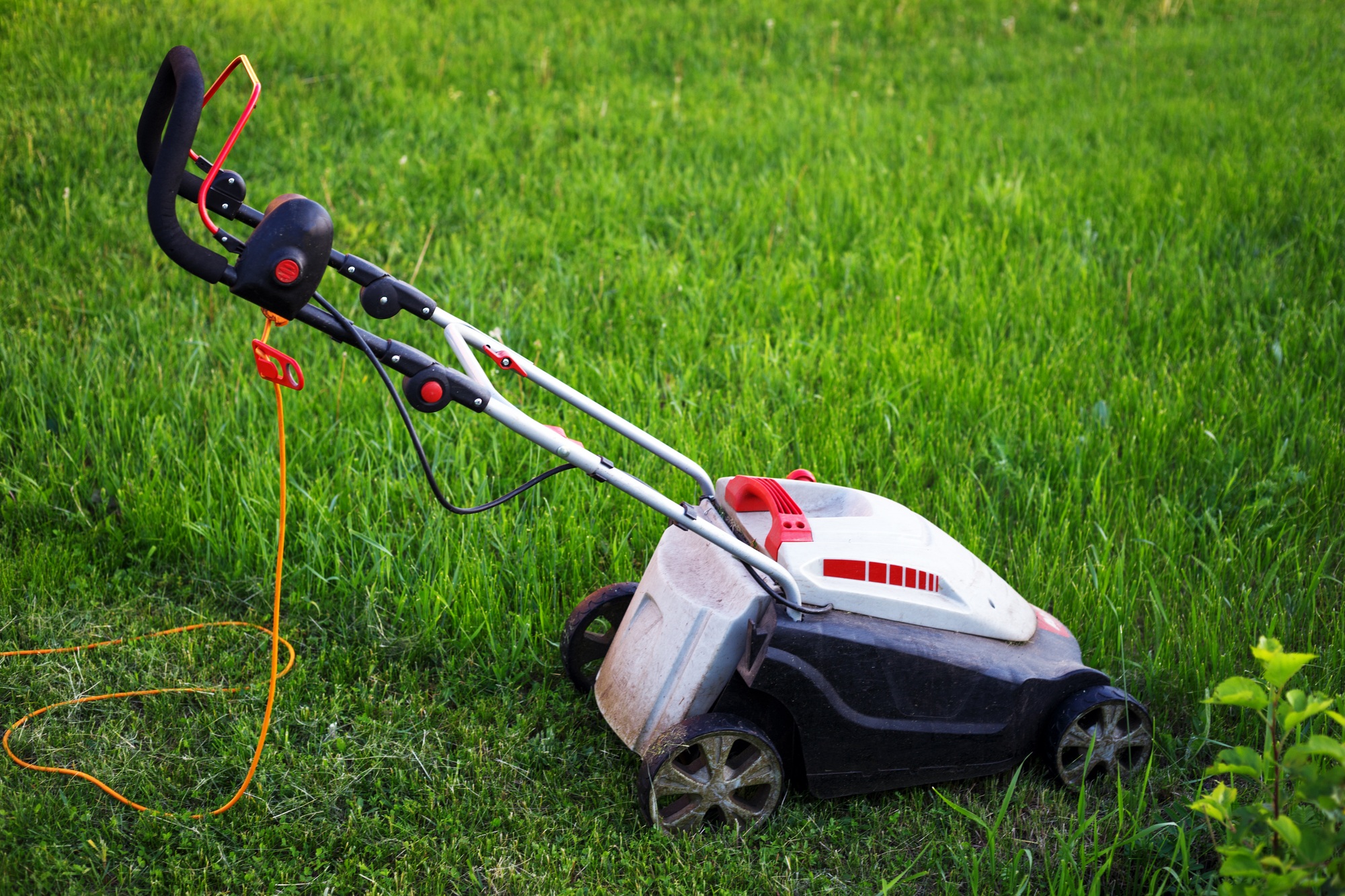 Read more about the article Portland Garden Landscaping & Turf Care