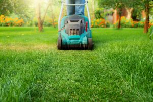 Read more about the article Bed Management Service: Creating Beautiful, Low-Maintenance Garden Beds in Portland