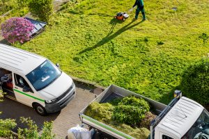 Read more about the article Lawn Restoration, Maintenance & Hardscaping Tips