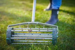 Read more about the article Portland Lawn Care & Restoration: Lush Year-Round