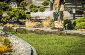 Read more about the article Elevate Your Property with Portland’s Premier Lawn Restoration & Residential Landscape Services