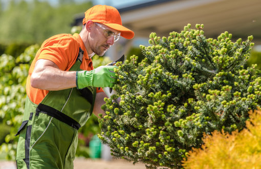 Read more about the article Custom Outdoor Living with Portland’s Residential Landscape & Lawn Experts