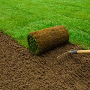 Read more about the article Portland Lawn Care: Upkeep to Full Revival