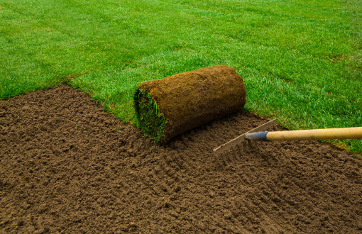Lawn Restoration Service