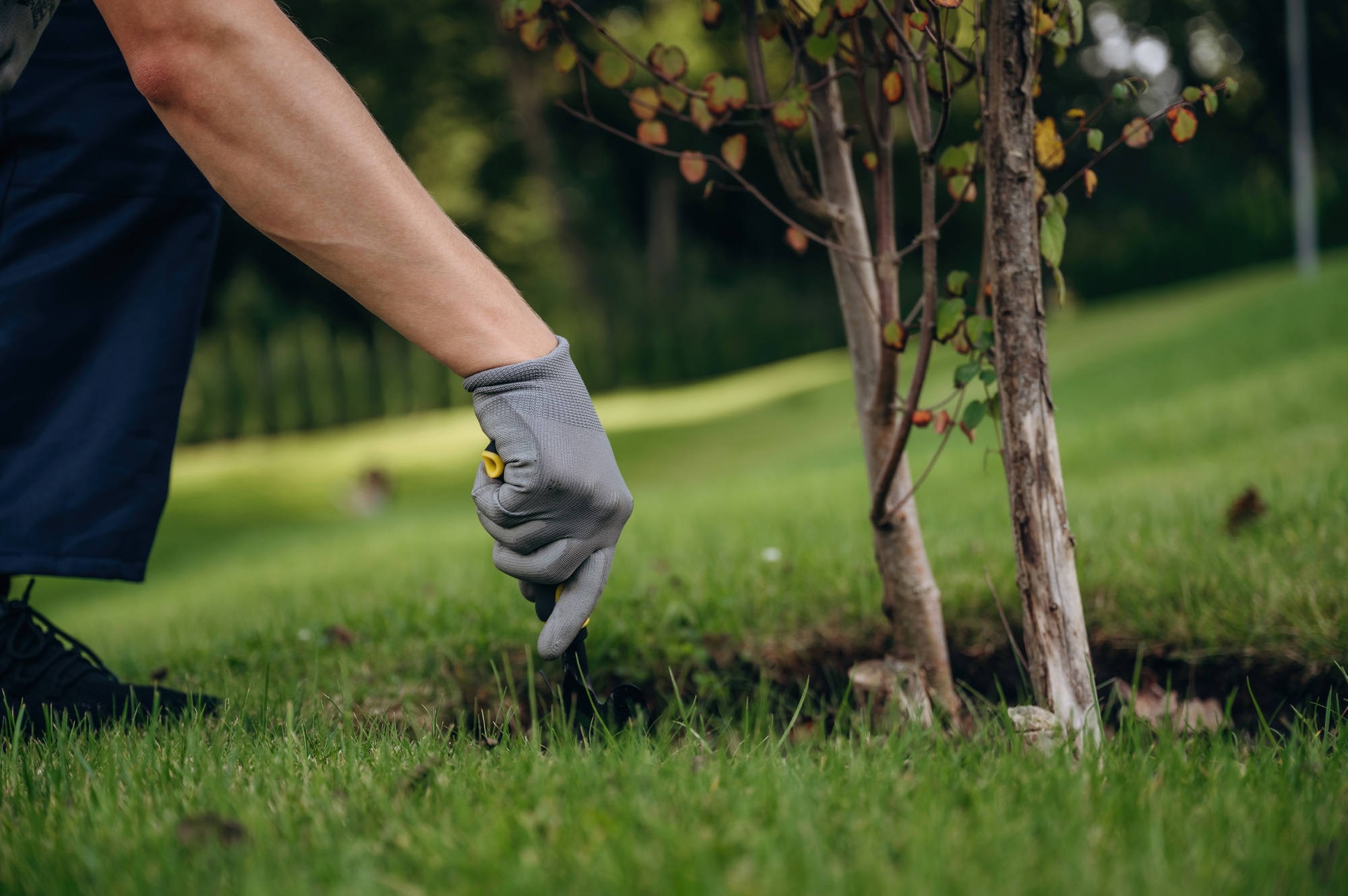 You are currently viewing Lawn Fertilizing Services: Proven Way to Achieve a Lush, Green Yard